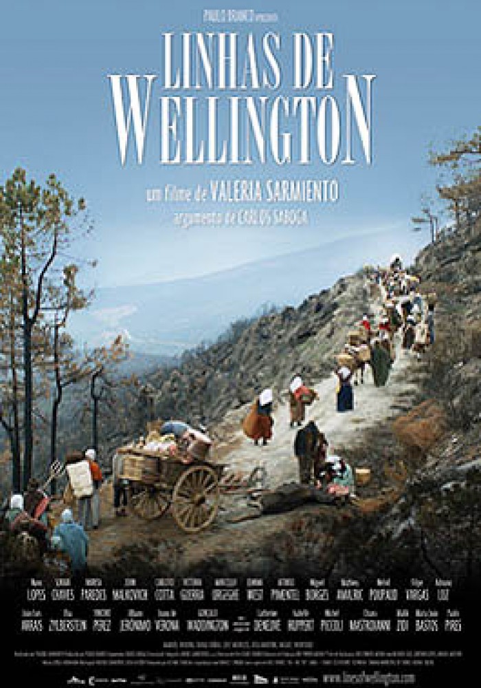 Velingtonove granice